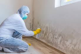 Best Crawl Space Mold Remediation  in Glenwood, MN