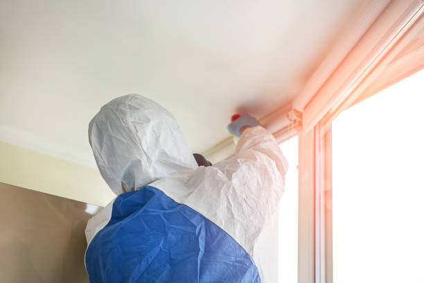 Best Mold Remediation for Rental Properties  in Glenwood, MN